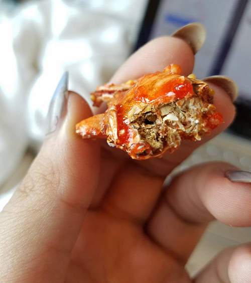 Dried Crab: HKTS1. Photo Credit: I'mari Avey. INTJ May Challenge. Alwaysuttori.com